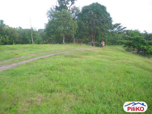 Other lots for sale in Iba - image 6