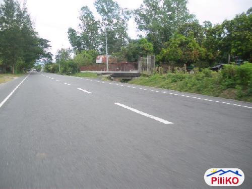 Picture of Agricultural Lot for sale in San Antonio in Philippines