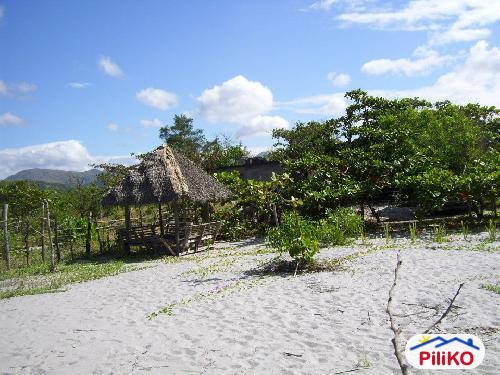 Commercial Lot for sale in Cabangan - image 6