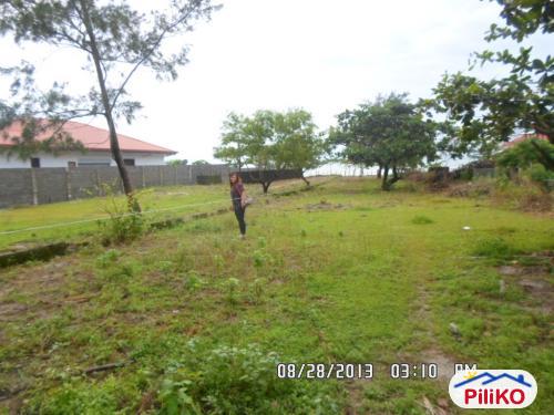 Picture of Other lots for sale in Cabangan in Philippines