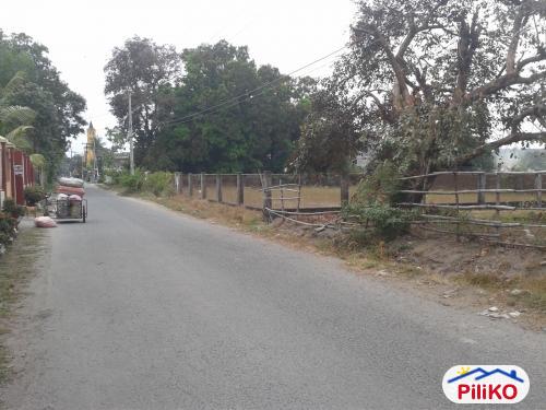 Agricultural Lot for sale in Cabangan - image 6