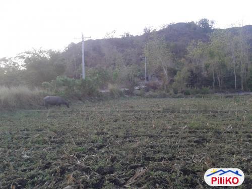 Agricultural Lot for sale in Capas - image 6