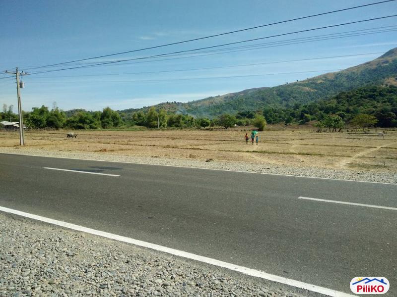 Picture of Agricultural Lot for sale in Botolan in Philippines