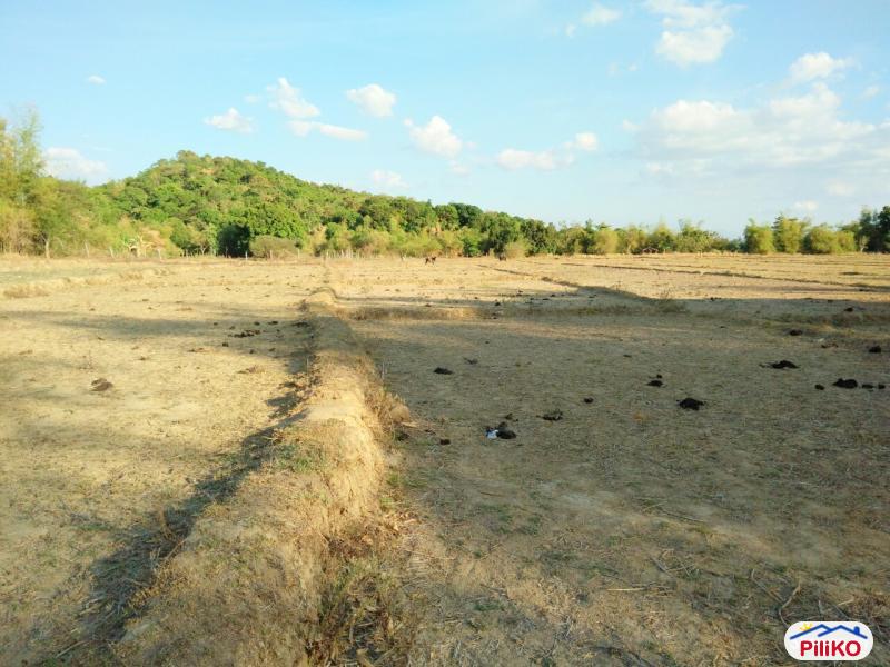 Agricultural Lot for sale in Botolan - image 6