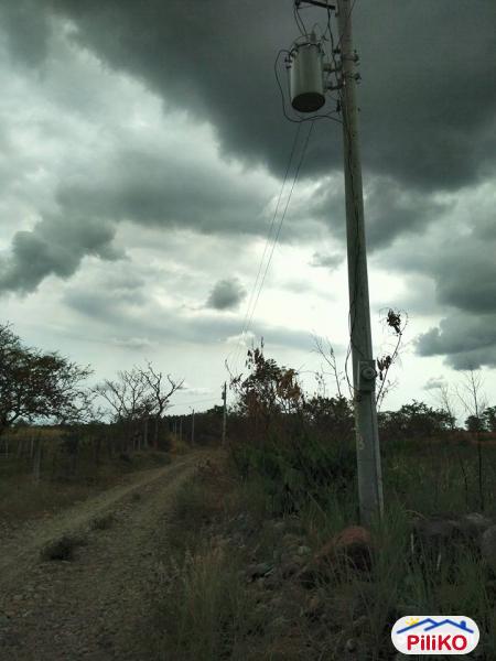 Picture of Agricultural Lot for sale in Palauig in Philippines