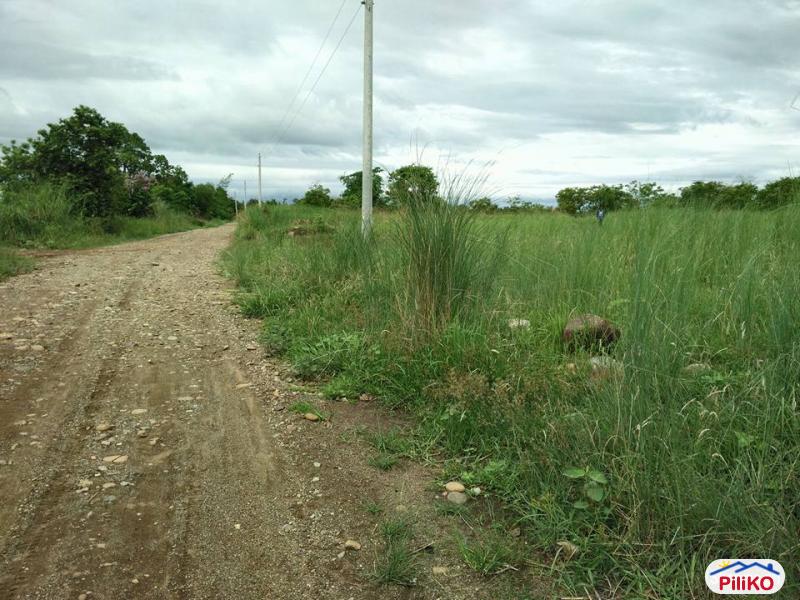 Picture of Agricultural Lot for sale in Iba in Philippines