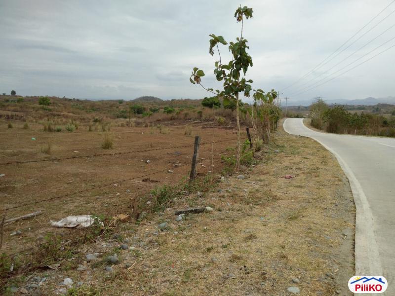 Agricultural Lot for sale in San Jose in Tarlac - image