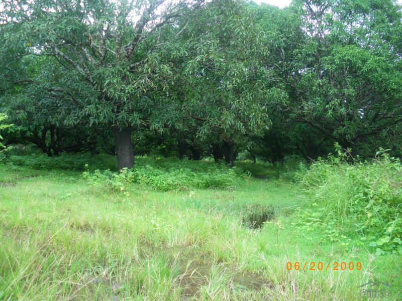 Agricultural Lot for sale in Botolan in Zambales - image