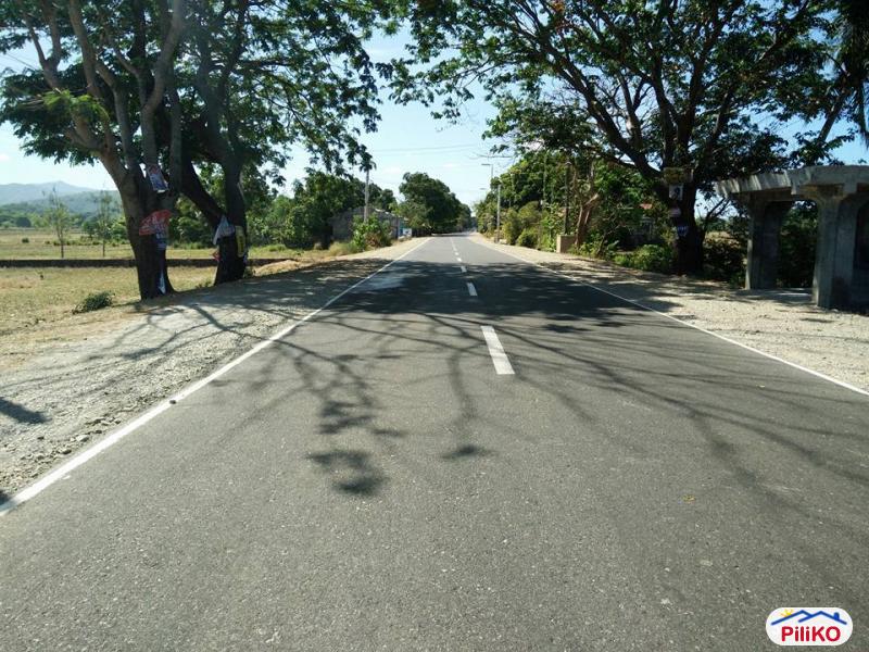 Residential Lot for sale in Botolan in Philippines - image