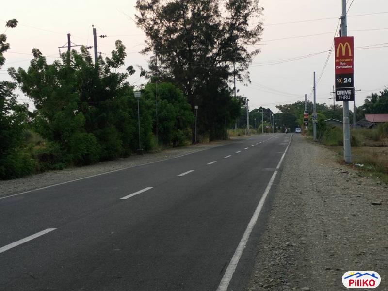 Agricultural Lot for sale in Botolan - image 8