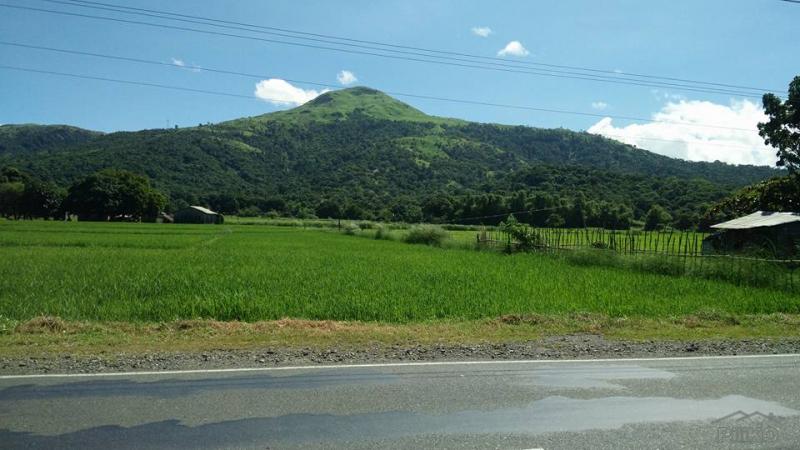 Land and Farm for sale in Botolan in Philippines - image