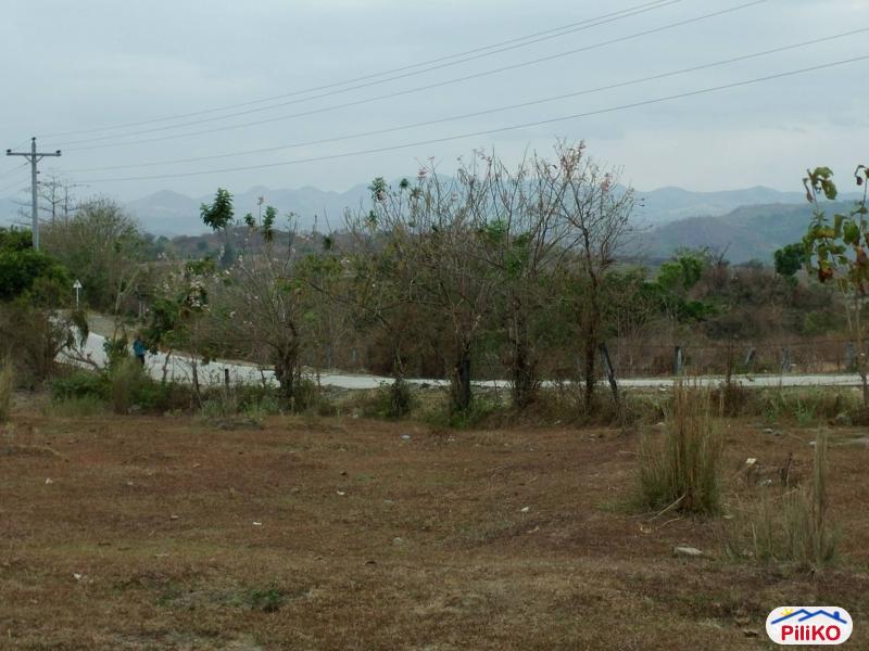 Agricultural Lot for sale in San Jose - image 9