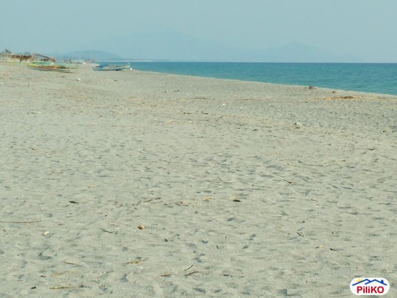 Agricultural Lot for sale in Botolan - image 9