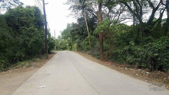 Commercial Lot for sale in Rodriguez - image 2