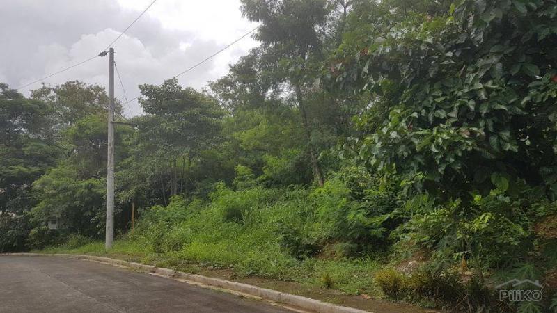 Residential Lot for sale in Antipolo - image 3