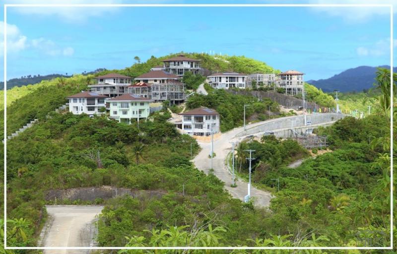 4 bedroom House and Lot for sale in Balamban - image 4
