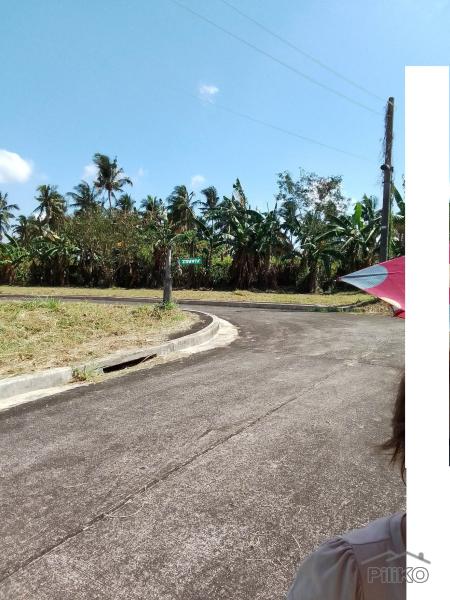 Lot for sale in Lipa - image 3