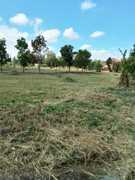 Lot for sale in Lipa - image 4