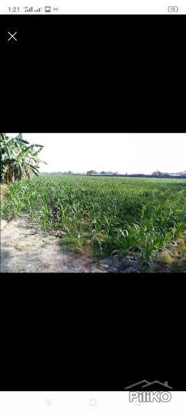 Picture of Agricultural Lot for sale in Magalang