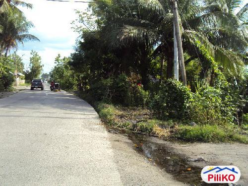 Picture of Commercial Lot for sale in Kiamba