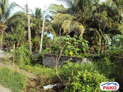 Commercial Lot for sale in Kiamba - image 2
