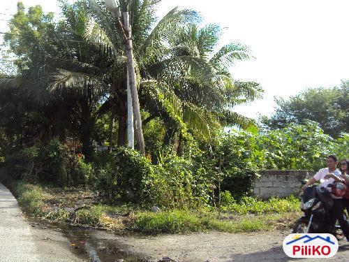 Commercial Lot for sale in Kiamba in Philippines