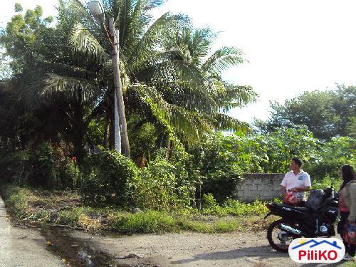 Picture of Commercial Lot for sale in Kiamba in Sarangani