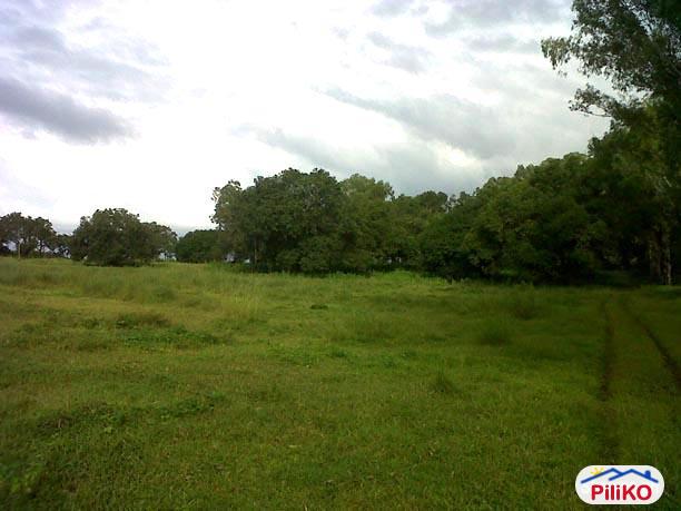 Picture of Agricultural Lot for sale in Quezon City