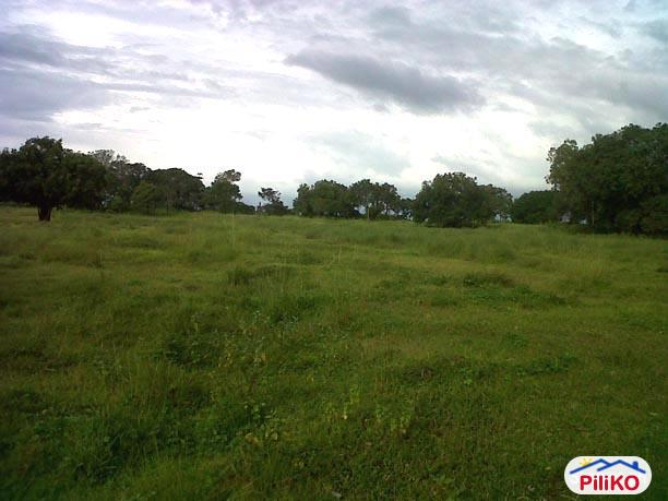 Agricultural Lot for sale in Quezon City - image 2