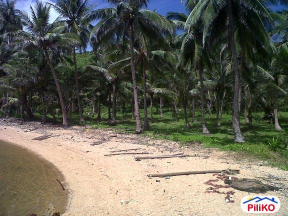 Commercial Lot for sale in Quezon City in Metro Manila