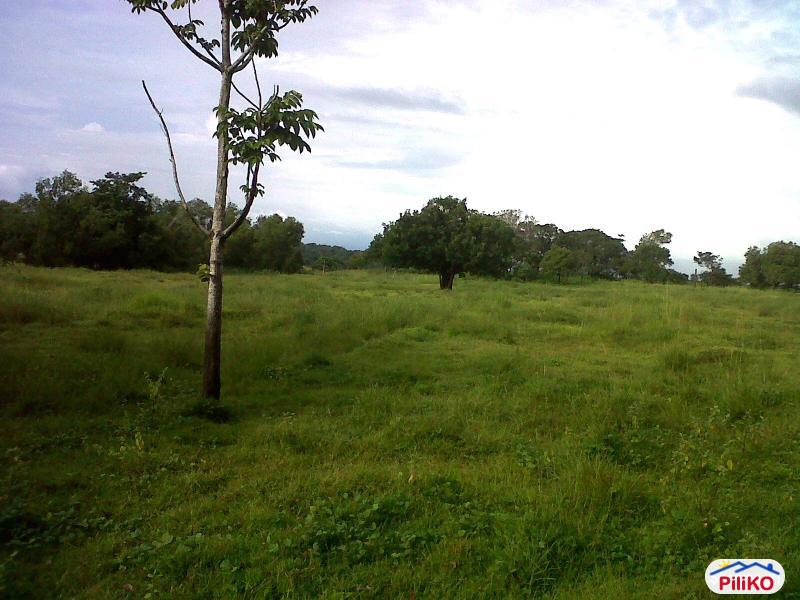 Agricultural Lot for sale in Quezon City in Metro Manila
