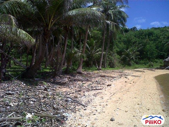 Commercial Lot for sale in Quezon City in Philippines