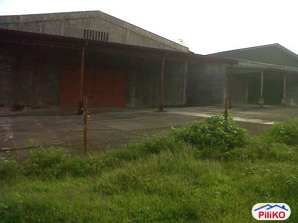 Agricultural Lot for sale in Quezon City - image 5