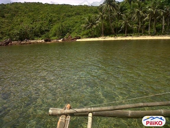 Picture of Commercial Lot for sale in Quezon City in Philippines