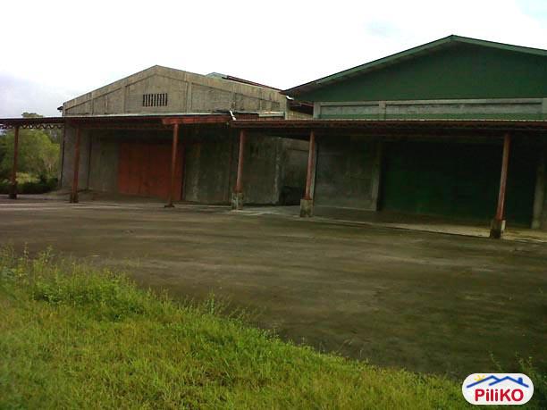 Picture of Agricultural Lot for sale in Quezon City in Philippines