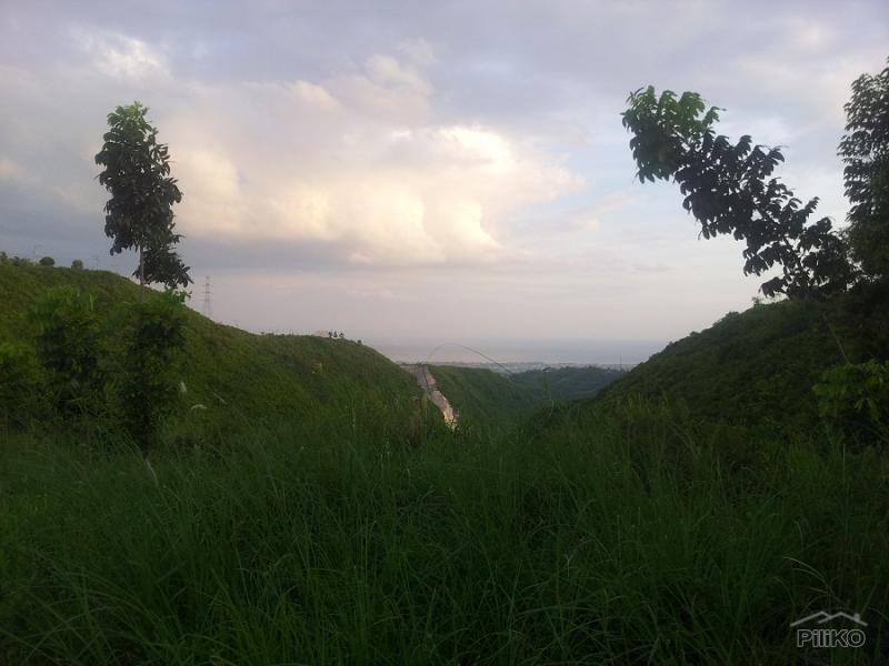 Residential Lot for sale in Talisay - image 9