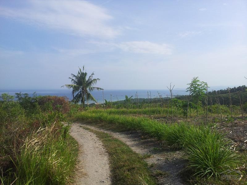 Agricultural Lot for sale in Naga in Philippines