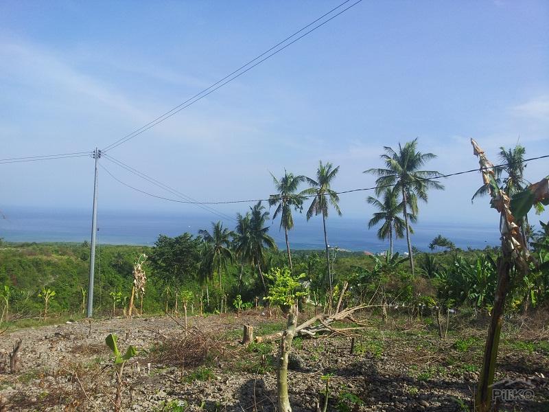 Picture of Agricultural Lot for sale in Naga in Philippines