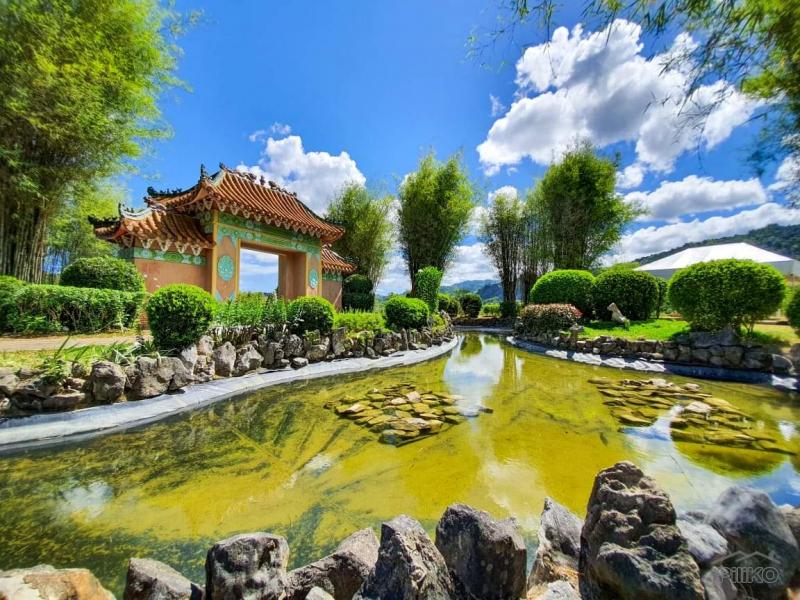 Picture of Memorial Lot for sale in Cebu City