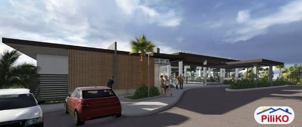 4 bedroom House and Lot for sale in Other Cities - image 4