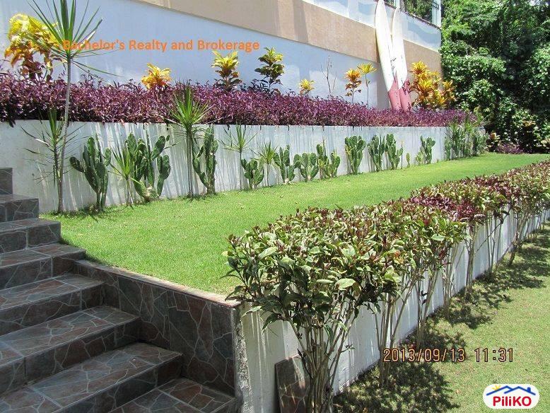 8 bedroom House and Lot for sale in Lapu Lapu - image 6