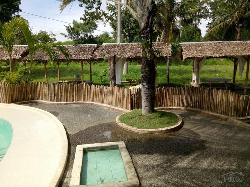 4 bedroom House and Lot for sale in Lapu Lapu - image 4