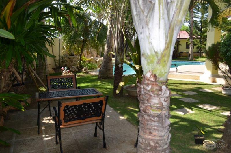 5 bedroom House and Lot for sale in Lapu Lapu - image 13