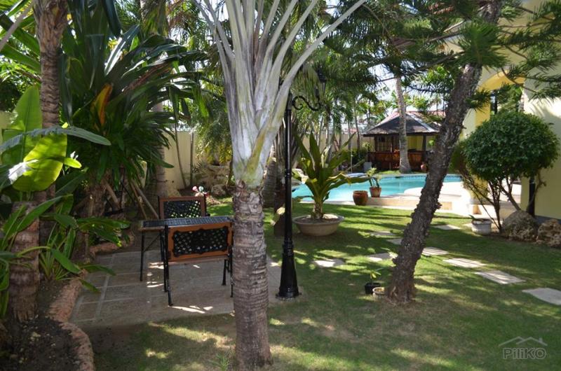 5 bedroom House and Lot for sale in Lapu Lapu - image 14
