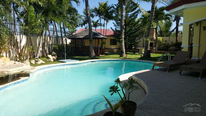5 bedroom House and Lot for sale in Lapu Lapu - image 17