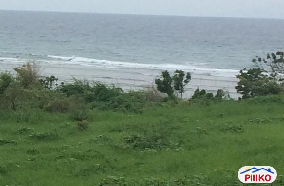 Picture of Resort Property for sale in Quezon City in Metro Manila