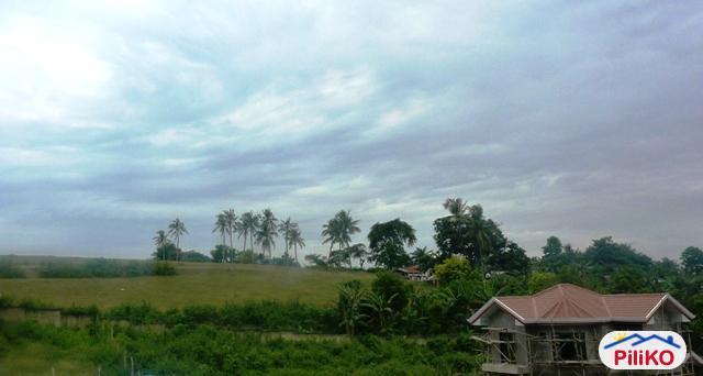 4 bedroom House and Lot for sale in Consolacion - image 12