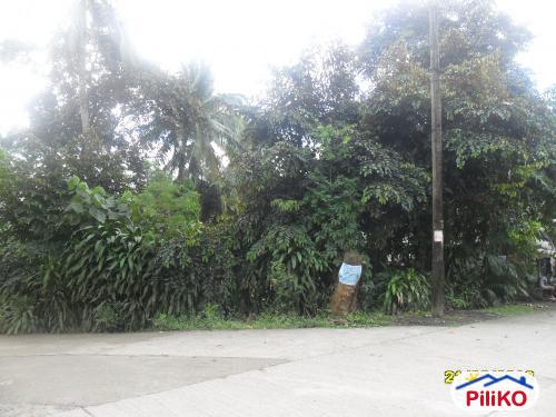Pictures of Residential Lot for sale in Quezon City