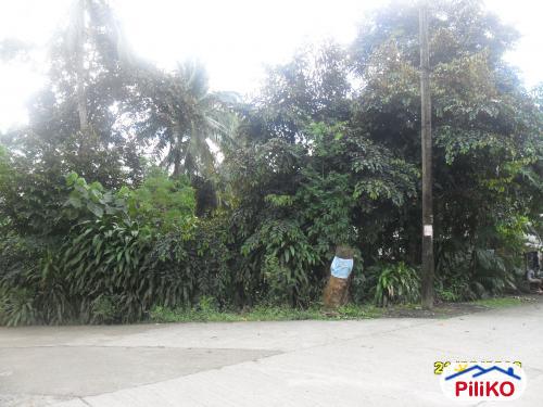 Picture of Residential Lot for sale in Quezon City