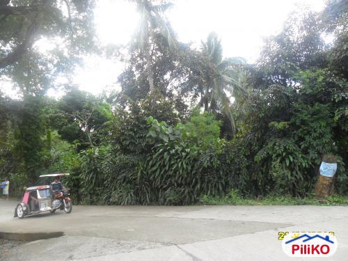 Residential Lot for sale in Quezon City